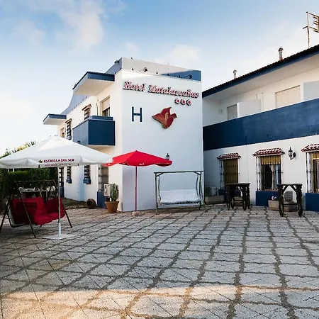 Hotel Hotel Matalascanas 3*