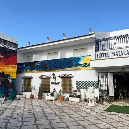 Hotel Hotel Matalascanas 3*