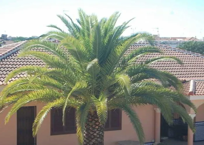 Hotel Matalascanas